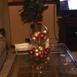 Meet your Posher, Frankie